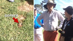 Bill Murray -- Taunted By Gopher ... 36 Years After 'Caddyshack'