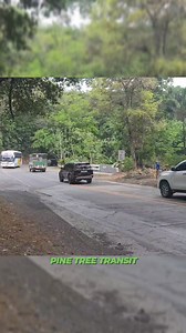 4.2K views · 37 reactions | Pine Tree Transit 838 Zhongtong Bound To Tabuk #reelsvideoシ #fbreelsfypシ゚ #fypシ゚ #busspotter #IlPhotography #busphotography #busenthusiast #busspotting #CagayanValley #CVL | IL Photography Vlogs | Facebook