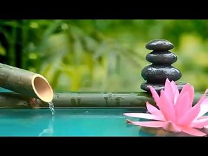 Slap af musik med naturens lyde Bamboo Water Fountain Healing Music BGM