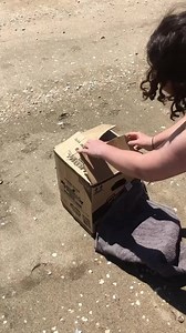 3.2K views · 144 reactions | This tarāpunga (red billed gull) was absolutely thrilled to return home! This gull was found weak and struggling in the current. After some TLC at BirdCare Aotearoa, they regained their strength and were ready to return to the wild. This was such a heartwarming release  | BirdCare Aotearoa | Facebook