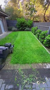 81K views · 1.2K reactions | The best clips of my work 殺 #gardeningtips #gardendesign #gardener #garden #gardening #gardeninspiration #clean #edges | stevethegardener | Facebook