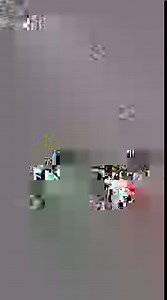 Meet Luna! The hummingbird mom-to-be is busy building her golfball-sized nest. Watch her live every day at https://goo.gl/Y1BkHh | explore.org