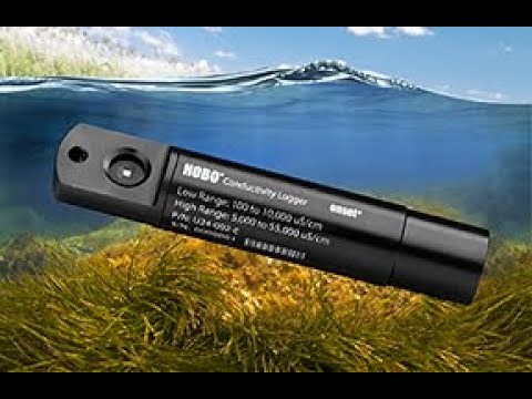 Connecting with Conductivity Water Quality Monitoring Using HOBO Conductivity Salinity Data Logger