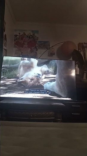The Lion King 2019 bath time scene🦁👑
