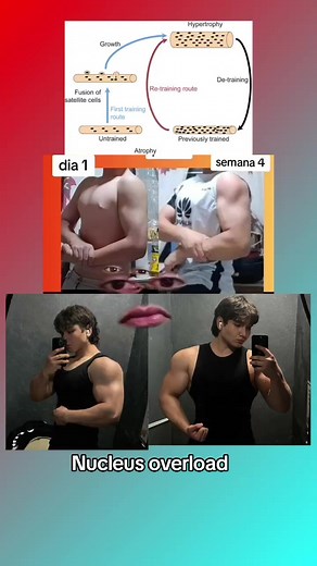 Nucleus Overload: Aumenta tus fibras musculares