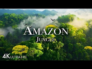Amazon Rainforest 4K Scenic Relaxation | Jungle Waterfalls & Calming Music