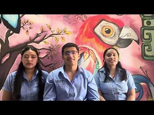 Fórmulas Infantiles