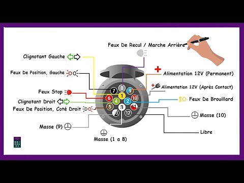 Branchement Prise Remorque 13 Broches I Anschlussplan Anhängerstecker 13 Polig