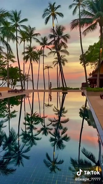 Serene Natural Scenes: Tranquil Moments in Nature