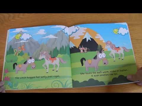 Lessons From Pete The Pony : Pete's Old Saddle