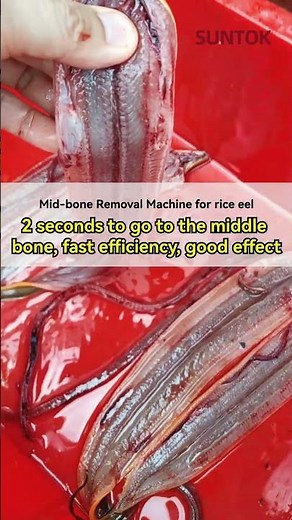 Eel deboning machine