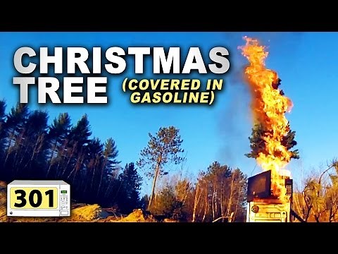 Microwave A Christmas Tree (#301)