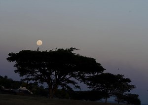 Watch the full snow supermoon live stream here
