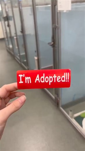 Tag a Friend who loves Dogs in Need ❤#dog #dogrescue #animalrescue #doglife #puppy #dogs #dogsofinstagram #storytime #foryou #viral | DOG Lovers