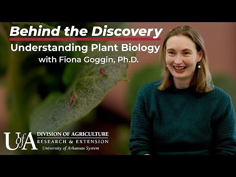 Fiona Goggin - Understanding Plant Biology | Behind the Discovery