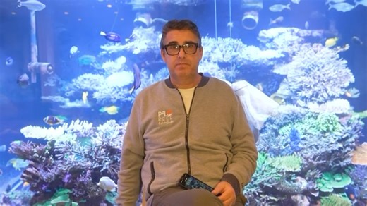 痛心！全球最大私人海缸Polo Reef发生崩溃大事故