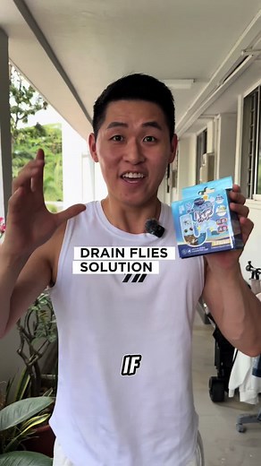 Understanding Drain Flies and Their Pipe Habitats