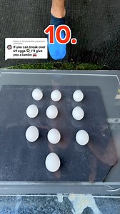 508K views · 3K reactions | Replying to @Scottsreality_espanol Does someone owe me a lambo | Joyful.jules | Facebook