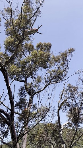A first for South Australia 🚁🔥 During the recent Wilmington fire, CFS deployed a Blackhawk Helitak to drop long-term retardant on a steep section of fire edge that fixed-wing aircraft couldn’t safely reach due to the terrain. This was the first time in South Australia that a helicopter firebombing aircraft has been used to deliver retardant. Using a 3,400L bucket on a 100ft longline, the helicopter helped ground crews secure a 300m stretch of the southern fireline. This helped prevent potentia