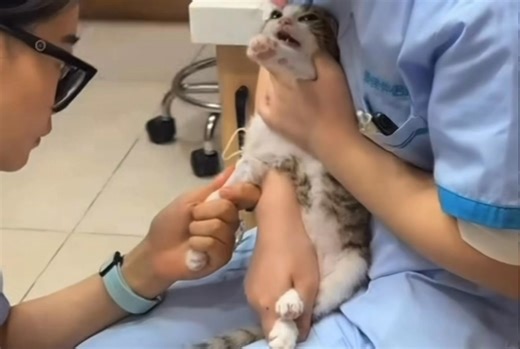 Patsy Hussain on Instagram: "This poor boobie has tears in her eyes. I wanna hug her & tell it’ll be ok."