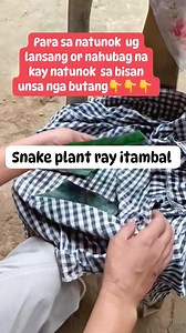 Susan Lopez on Reels