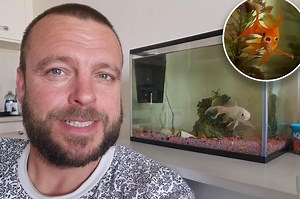 My goldfish outlasted my 2 marriages and is turning gray in old age: 'He'll outlive us all'