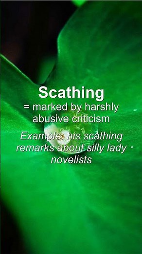 Word of the Day: Scathing #Shorts