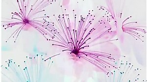 Baby Beethoven 2010 Discovery Kit Video in G Major