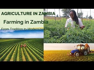 Agriculture in Zambia: Farming in Zambia