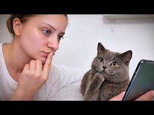 When Your Cat Mimics You Perfectly 😂 Funny Cats and Humans