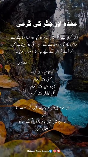 1.5K reactions · 197 shares | Mada or jigger ki garmi #mada #jigger #lever #health #hakeemnasirkamal #healthylifestyle #motivation | Hakeem Nasir Kamal | Facebook