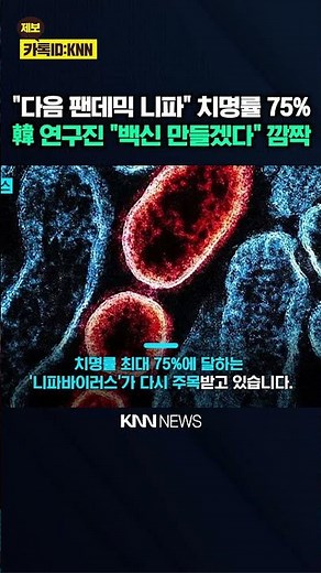 Korea Steps In to Prevent Next 'Nipah Virus' Pandemic, Lacking Treatments or Vaccines? / KNN