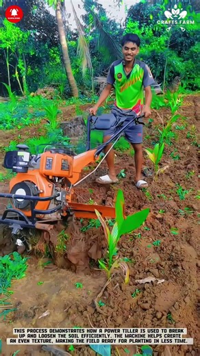 Mini Power Tiller: Efficient Soil Turning for Young Crop Rows #smartfarming #gardeningtips