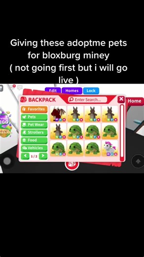 If u have more actives then me u can go live instead if that makes u feel better?!