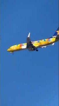 Pokémon Jet.10 Pikachus🇯🇵