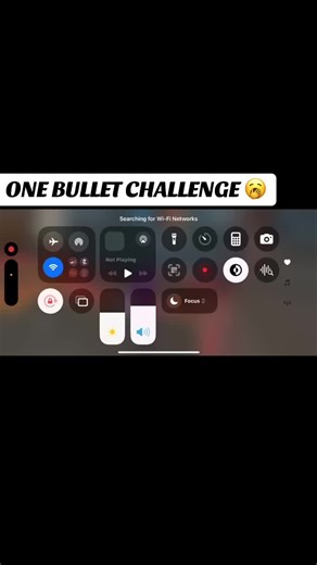 One Bullet Challenge: Woodpecker Supremacy Explained