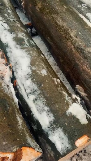 🌳 Z lasu do dziecięcego pokoju 🌳 Czy wiecie, że drewno bukowe z naszych lasów zyskuje drugie życie jako meble dla dzieci i wiele innych codziennych przedmiotów? 🪵➡️🪑 Buk to jeden z najcenniejszych gatunków drzew liściastych – jest trwały, bezpieczny, naturalny i piękny. Dzięki tym cechom doskonale sprawdza się w produkcji łóżeczek, krzesełek, zabawek, elementów wyposażenia wnętrz, a także akcesoriów użytkowych. To przykład, jak odpowiedzialna gospodarka leśna łączy naturę z potrzebami człowi