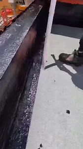 223K views · 1.5K reactions | Polyurethane waterproof coatings, often...