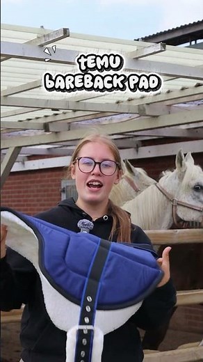 Testing the TEMU bareback pad!! #ad #equestrian #horse #temu