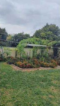 How i created my Organic vegetable garden! #gardening