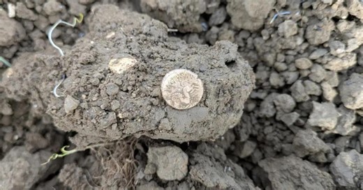 Un professeur anglais met au jour des pièces d’or de l’âge du fer au milieu d’un champ
