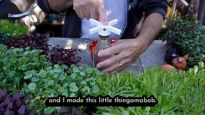 Editing the full tutorial now. Let me know what questions you have so I can answer them for you in the video. Pretty sure there are other people with the same question. This was fun and made growing microgreens SOOOO easy. Much more to come! 😀🌿👍 #diy #gardening #microgreens | Keep on Growin'