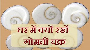 लक्ष्मीजी का प्रतीक है गोमती चक्र, जीवन का हर दु:ख दूर करेंगे ये 5 चमत्कारी टोटके। Gomti Chakra