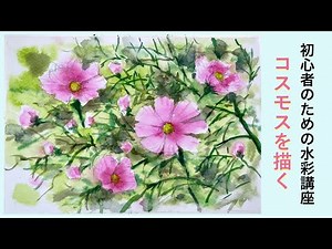 【初心者のための透明水彩】技法/コスモスの描き方/秋桜/花