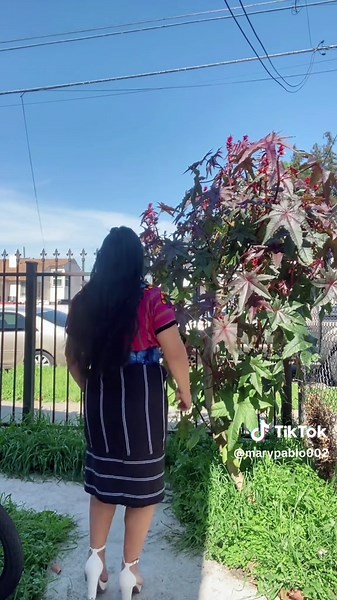 Discover the Art of Marimba Dance in Guatemala