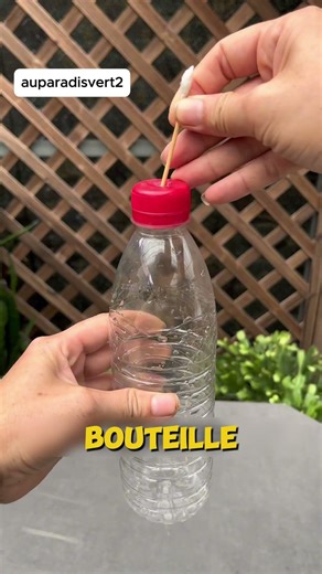 👉 Arrête de faire ça ! Tes plantes vont mourir sans cette astuce 🌿