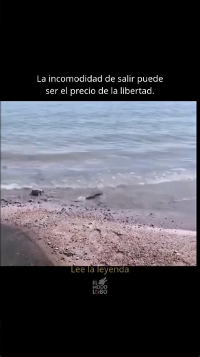 Modo Lobo on Instagram: "La mayoría no fracasa. La mayoría se acomoda. Se queda en lugares que ya no le caben solo porque parecen seguros. Relaciones. Trabajos. Hábitos. Pensamientos. El lago es tranquilo… pero es pequeño para quien nació para nadar en mar abierto. La travesía incomoda. Da miedo. Parece incierta. Pero es necesaria. Porque el dolor de crecer siempre es menor que el dolor de quedarse pequeño. Y nadie cruza esa arena por accidente. Se cruza por decisión. Por eso existe el MODO CUEV