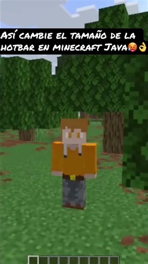 ¿Problemas con el tamaño de tu hotbar? Mira esto 👀 #minecraft #java