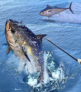 1M views · 28K reactions | Bluefin Tuna Cooking | Daily Foodie | Facebook