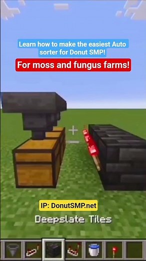 Best auto sorter for Donut SMP! ( Easy and fast! ) IP: DonutSMP.net